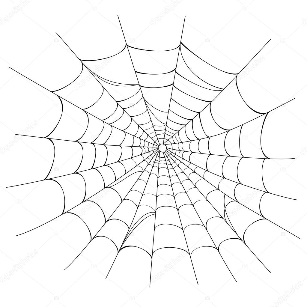 Spider Web Stock Illustration - Download Image Now - Spider Web, Vector,  White Background - iStock