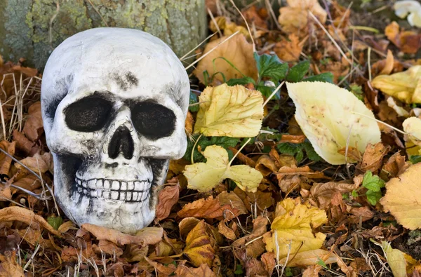 Halloween asustadizo cráneo humano — Foto de Stock
