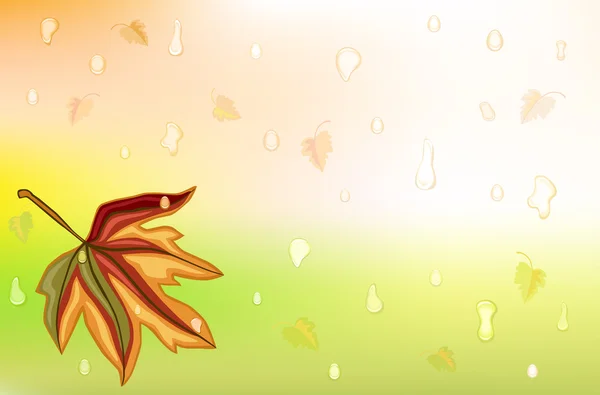 Herbstregen und Blattgold — Stockvektor