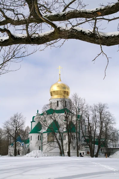 stock image Feodor Cathedral In Winter