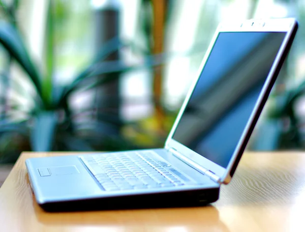 Dünner Laptop auf Büroschreibtisch — Stockfoto