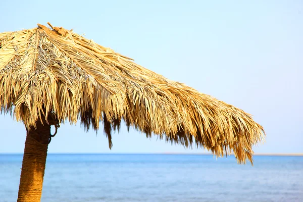 stock image Umbrella on a beach