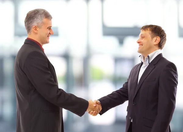Business Shaking Hands Deal — Stock Photo, Image