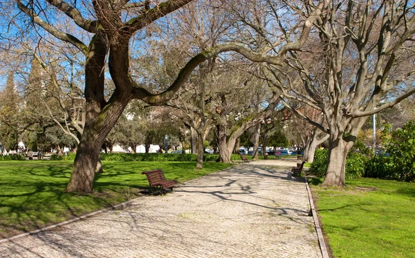 Path through the landscaped park — Stock Photo, Image