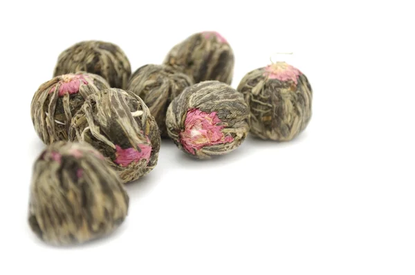 Flower Bud Tea — Stock Photo, Image