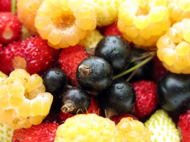 Fresh Berries clipart