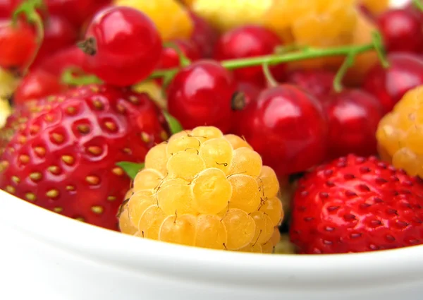 Fresh Berries — Stock Photo, Image