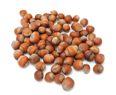 Hazelnuts clipart