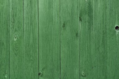 Green Wood Background clipart