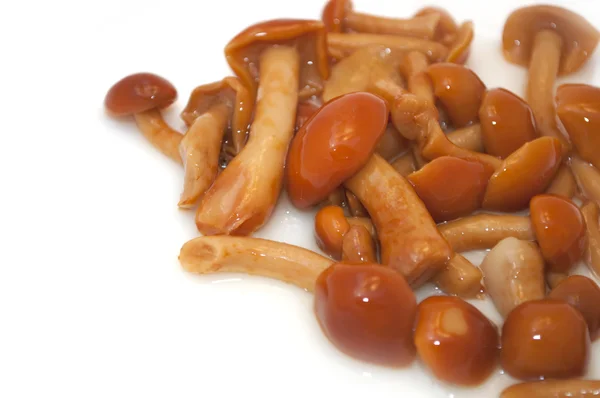Pickled Mushrooms — Stock Image Pickled Mushrooms Stock Photo