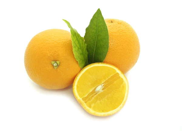 Świeże pomarańcze z liści — Zdjęcie stockowe