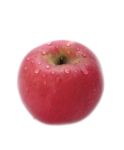 Κόκκινο μήλο με σταγόνες νερού — Φωτογραφία Αρχείου