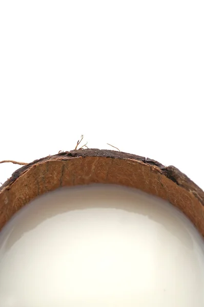 У кокосове молоко — стокове фото