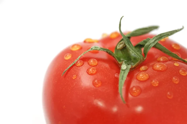 Tomat med vanddråber - Stock-foto
