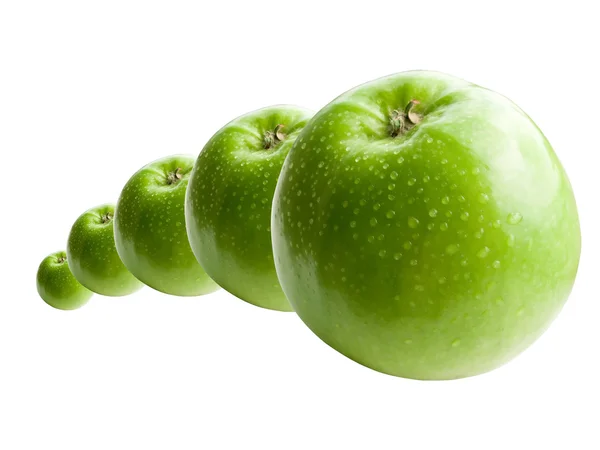 Gröna äpplen i linje — Stockfoto