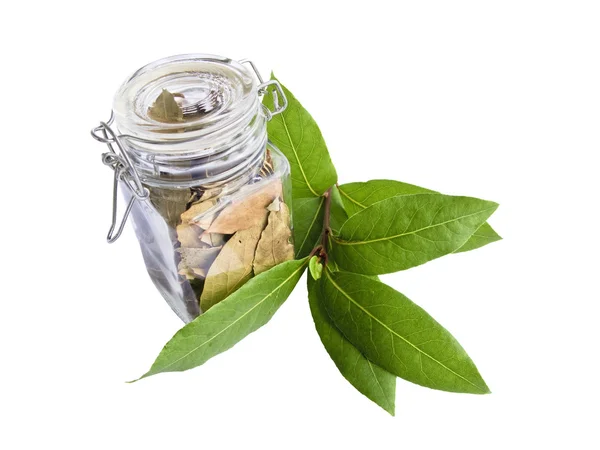 Fresh And Dried Bay Leaves — Stock Photo, Image