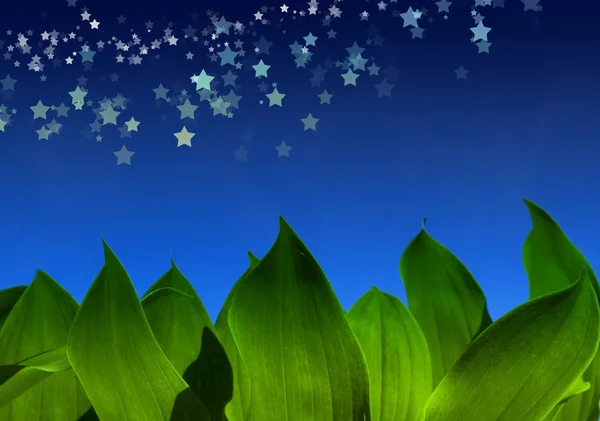 Folhas verdes sob céu noturno — Fotografia de Stock