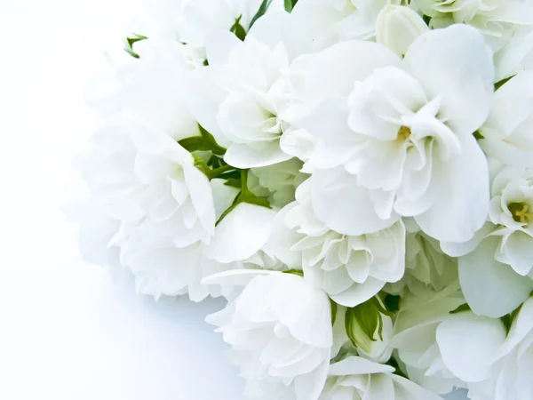 Bouquet de jasmim — Fotografia de Stock