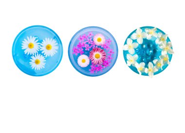 Set of Blue Bowls with Flowers clipart