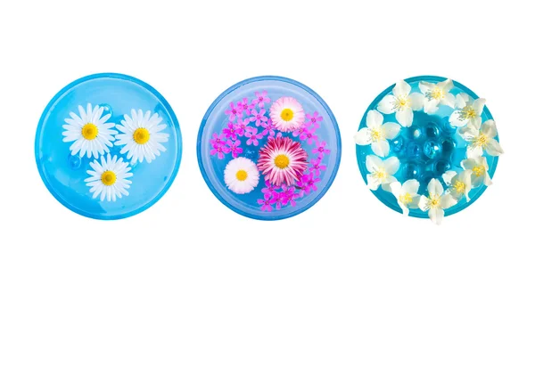 Set van blauwe kommen met bloemen — Stockfoto