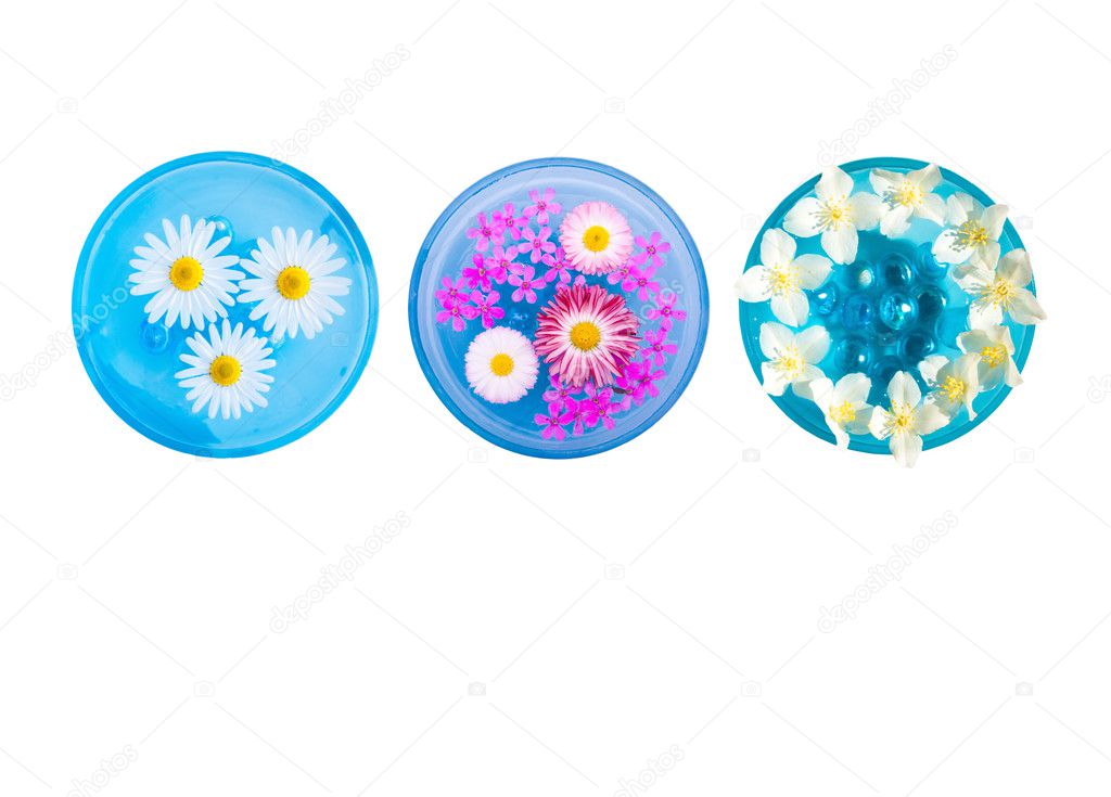 Set of Blue Bowls with Flowers