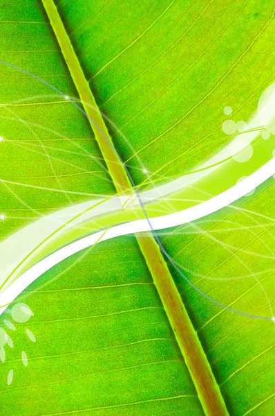 Refreshing Green Background — Stockfoto