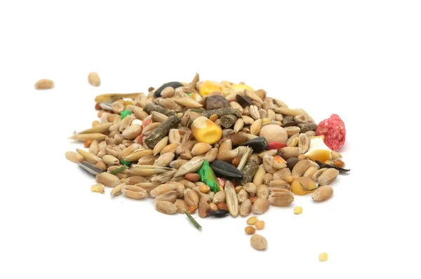 Hamster voedsel mix — Stockfoto