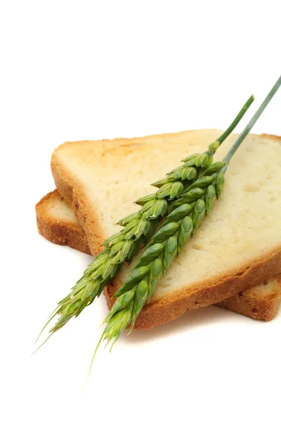 耳と小麦のトースト — ストック写真