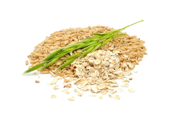 Oat Grains, Oat Flakes And Ear — Stock Photo, Image