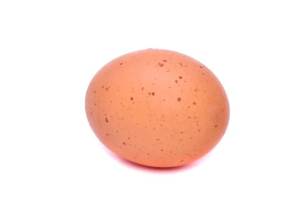 Καφέ αυγό — Φωτογραφία Αρχείου