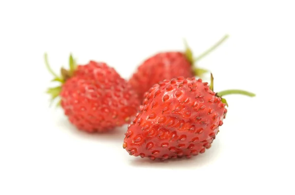Red Wild Strawberries — Stock Photo, Image