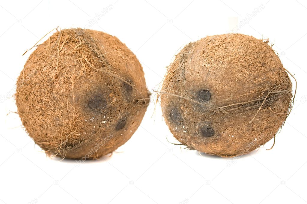 Two Coconuts