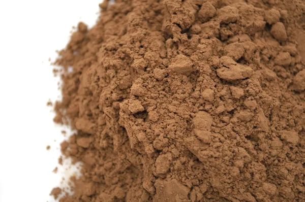 Cocoa Powder — Stockfoto