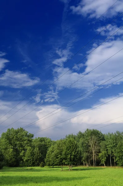 Power Lines in Countryside — Stock Photo, Image