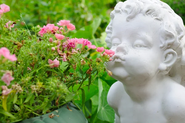 White Angel Smelling Flowers — Stock Photo, Image