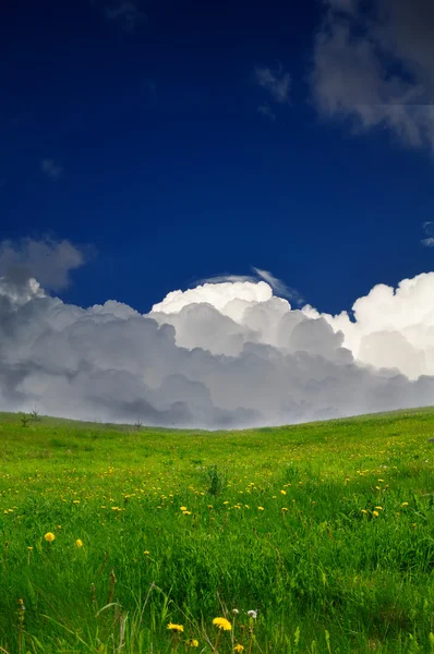 Campo verde sob nuvens inchadas — Fotografia de Stock