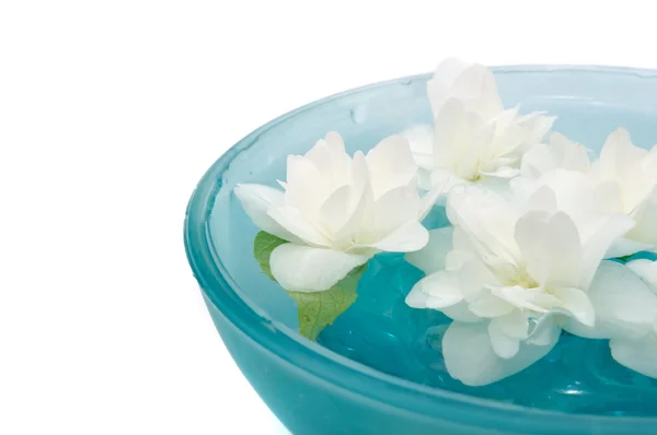 Beautiful Jasmine Flowers Floating in Bowl — Stock Photo, Image
