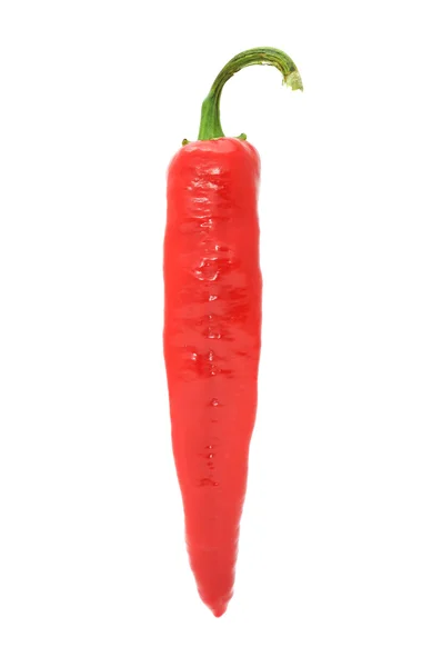 Roter Paprika — Stockfoto