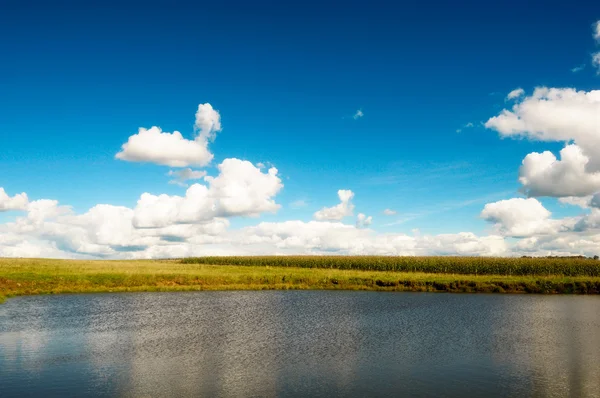 Hermoso lago y campo de maíz — Foto de Stock