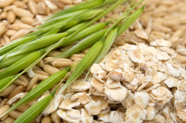 Oat Grains, Oat Flakes And Ear — Stock Photo, Image