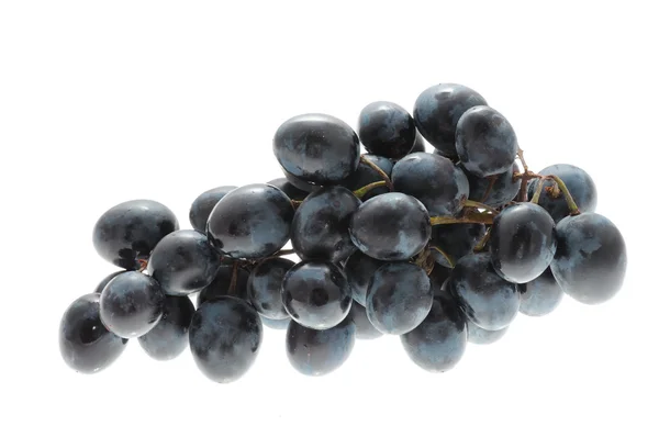 Фиолетовый виноград — стоковое фото
