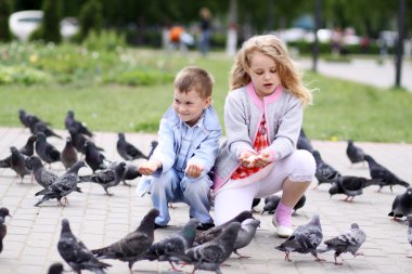 güvercinler ile oynayan çocuklar