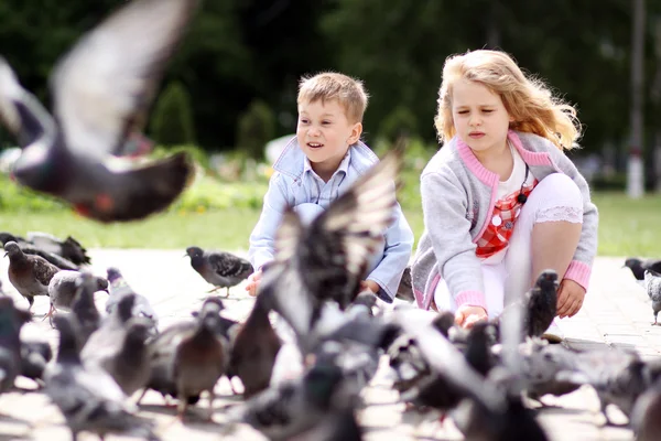 Niños jugando con palomas — Foto de Stock