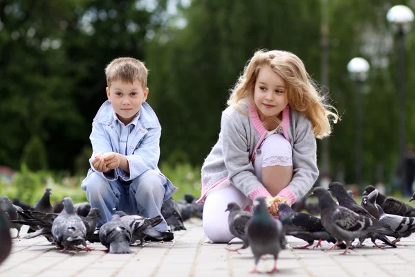 Kinder spielen mit Tauben — Stockfoto