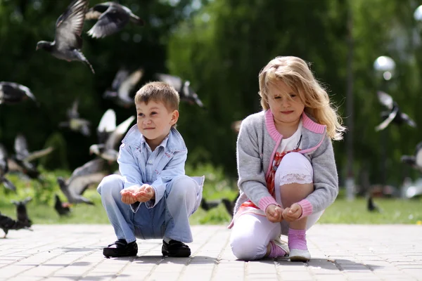 Niños jugando con palomas — Foto de Stock