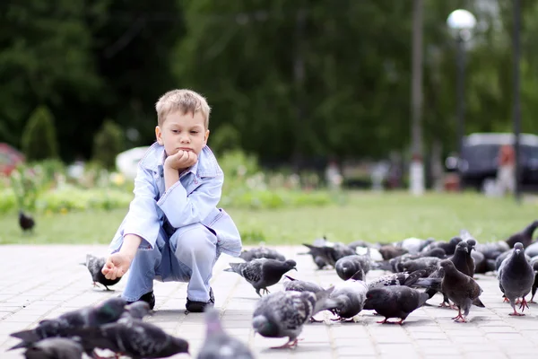 Маленькие мальчики и уличные голуби — стоковое фото