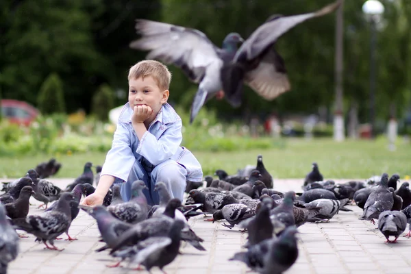 Mały chłopiec i ulicy gołębie — Zdjęcie stockowe