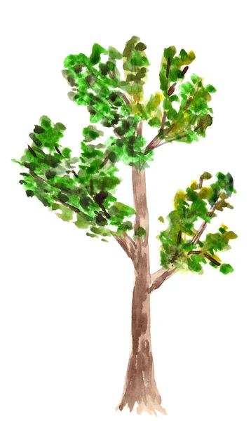 Desenho de árvore — Fotografia de Stock