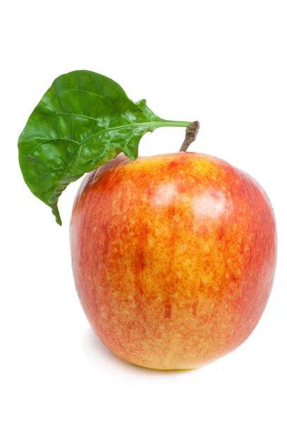 Jablko s listem — Stock fotografie