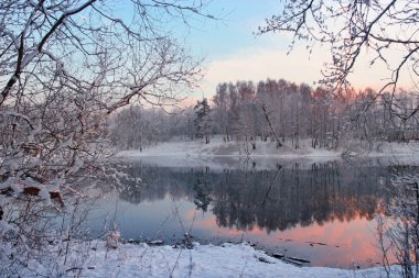 Winter evening landscape clipart